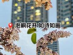-成都市活水公园