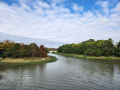 -上海海湾国家森林公园