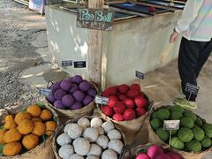 -大象粑粑造纸公园