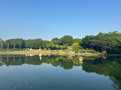 -南宁南湖公园