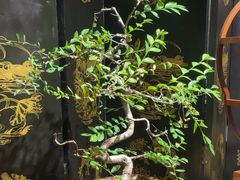 -海天楼中餐厅(吴宫泛太平洋酒店)