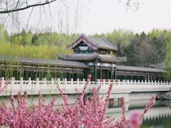 -北宫国家森林公园