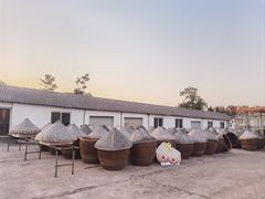 -苏州市吴中区光福窑上花果蜜饯厂