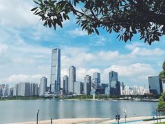 -深圳人才公园