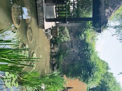 -聚缘堂·海鲜私房菜(松岭路店)