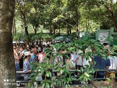 -韶山毛泽东同志故居