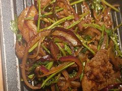 -九毛九西北菜(大东海店)