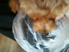 -窑滚面包专门店(马鞍山金鹰店)