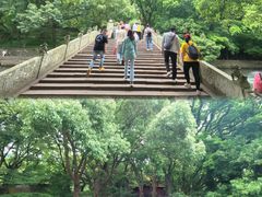 -普陀山风景名胜区-法雨禅寺