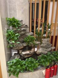 -雅曼妮spa美容养生