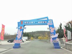 -樱花山风景区