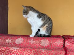 -龙华寺