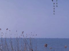 -西京湾花海