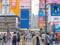 -蟹道乐(道顿堀本店)