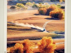 -塞罕坝国家级自然保护区