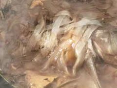 -庆岭迎宾园正宗活鱼馆