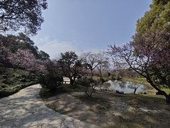 -无锡梅园公园