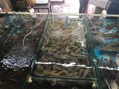 -南戴河海滨市场