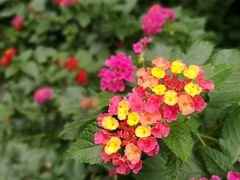 -苏州河梦清园环保主题公园