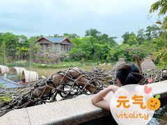 -美的鹭湖森林度假区