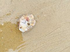 -白城沙滩