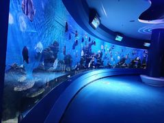 -石林冰雪海洋世界