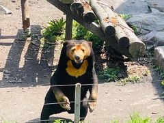 -宁波野生动物园