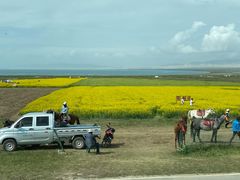 -青海湖国家重点风景名胜区
