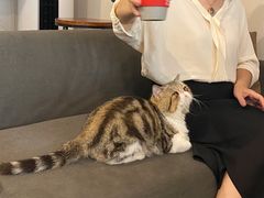 -参差咖啡(水果湖公园店)