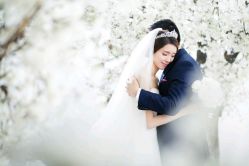 -韩国艺匠ARTIZ STUDIO(博览中心店)