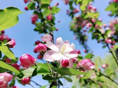 -元大都城垣遗址公园