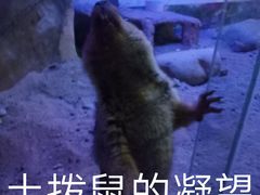 -常州海昌海洋探索馆