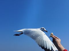 -滇池海埂公园