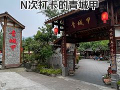 -青城甲(青城山店)