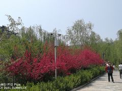 -渭南桃花源民俗文化园