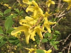 -山西通天峡景区