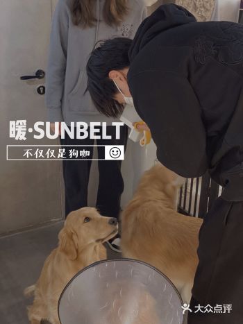 北京新店｜性价比最高的潮流狗咖宠物店🦮