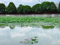 -建水文庙