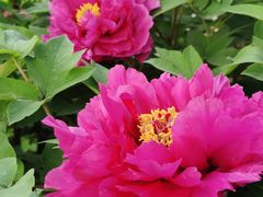 -莲花池公园