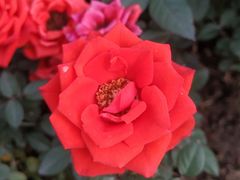 -上海市惠民中学