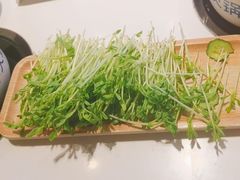 -蒙都43°9羊火锅·赤峰美食(桥北店)