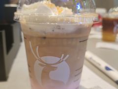 -厦门喜来登酒店