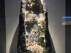 -重庆自然博物馆(新馆)