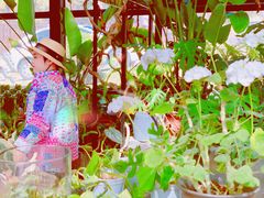 -北马山庄植趣咖啡