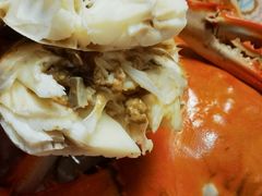 -金海湾海鲜排档(朱家尖店)