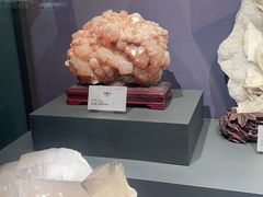 -湖南省地质博物馆