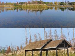 -白鹭湾湿地公园