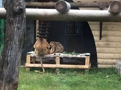 -西安秦岭野生动物园