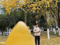 -武汉市民之家