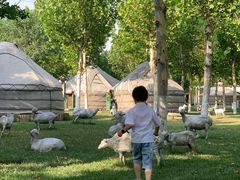 -九十九顶毡房(阜石路店)